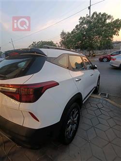 کیا سێلتۆس